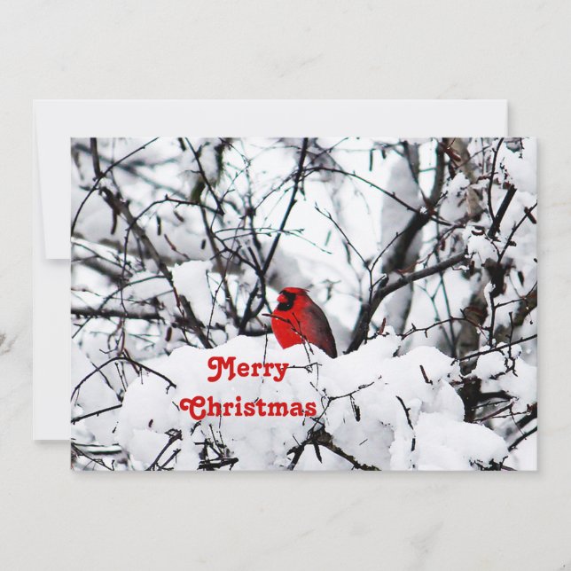 Tarjeta Festiva Llanto de Navidades de foto del cardenal rojo boni (Anverso)