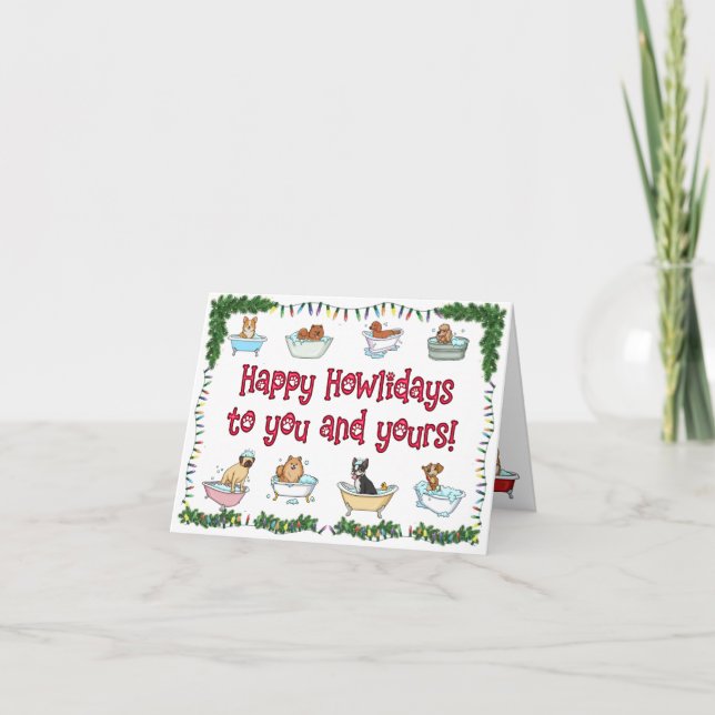 Tarjeta Festiva LLC más limpia (Anverso)