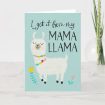 Lo obtuve del Día de la Madre Mamá Llama