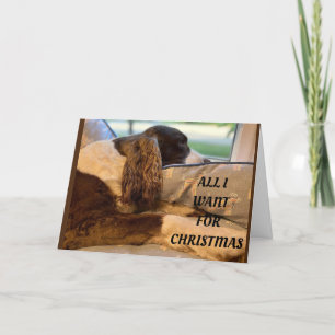 TARJETA FESTIVA LO ÚNICO QUE QUIERO DE LOS NAVIDADES ES VERTE *TÚ*