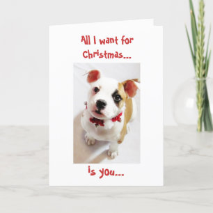 Tarjeta Festiva Lo único que quiero para el navidad… es usted
