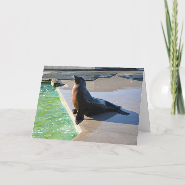 Tarjeta Festiva Lobo marino de California (Anverso)