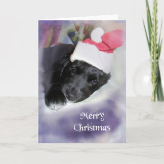 Tarjeta Festiva Lola, Navidades