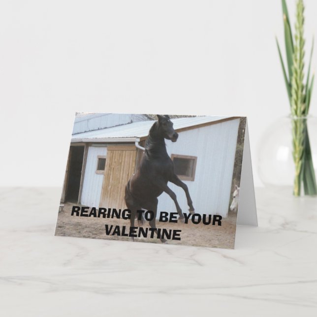 TARJETA FESTIVA LOS DIADHEMS SUEÑAN, SE PREOCUPA DE SER SU VALENTI (Anverso)
