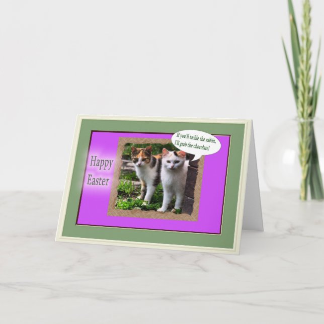 Tarjeta Festiva Los gatos divertidos amenazan al conejito de (Anverso)