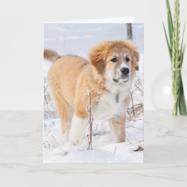 Tarjeta Festiva Los grandes pirenos en la nieve (Anverso)