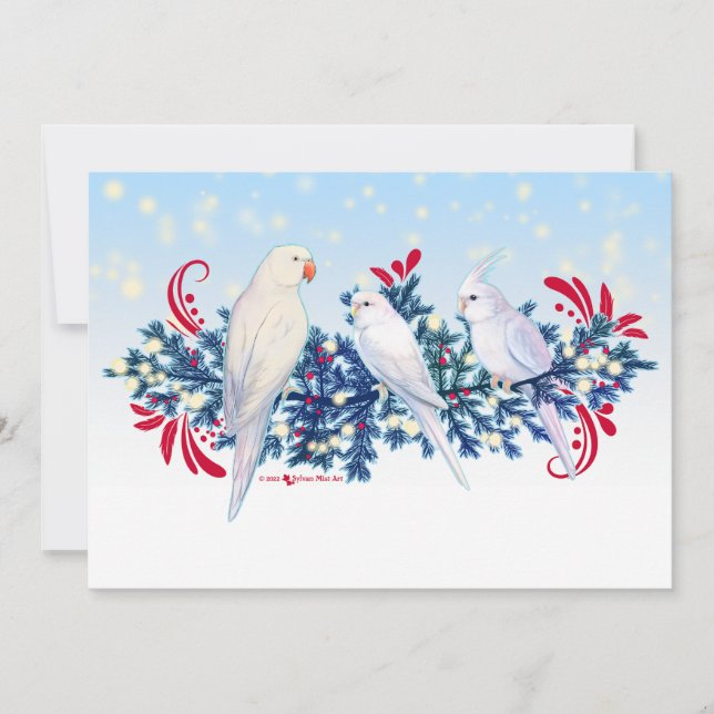 Tarjeta Festiva Los loros de los Navidades blancos (Anverso)