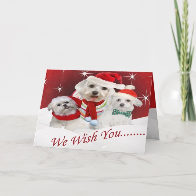 Tarjeta Festiva Los malteses te desean Feliz Navidad, los wis malt (Anverso)