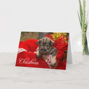 Tarjeta Festiva Los navidades aman