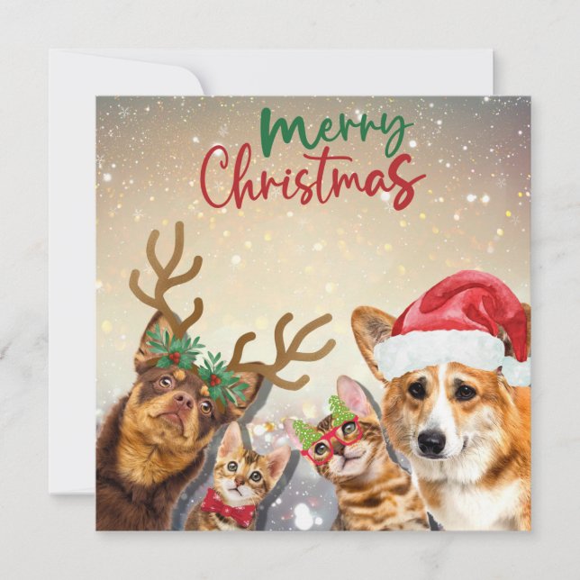 Tarjeta Festiva Los Navidades bonitos gatos y perros son animales  (Anverso)