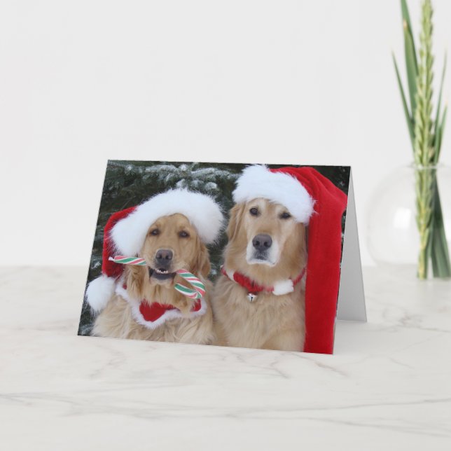 Tarjeta Festiva Los Navidades de Cute recuperadores de oro (Anverso)