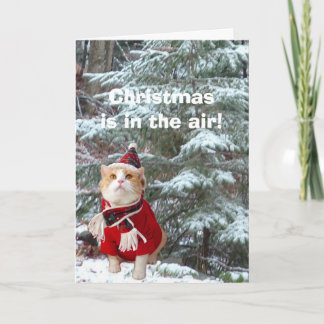 Tarjeta Festiva ¡Los navidades están en el aire!