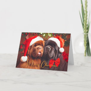 Tarjeta Festiva Los perros de Terranova miran a los Navidades con