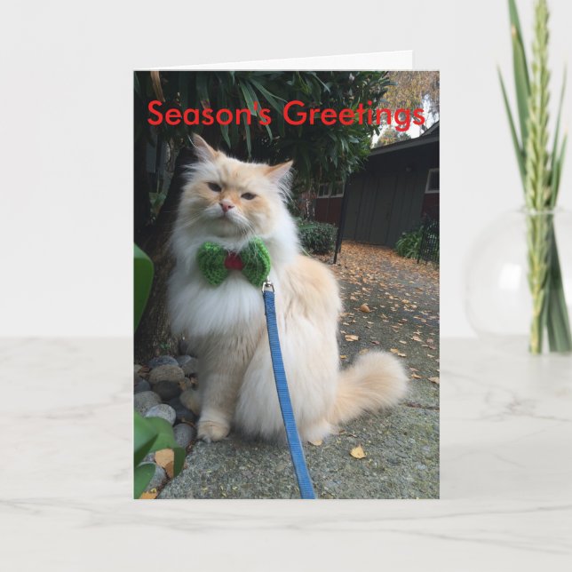 Tarjeta Festiva Los saludos de la estación (Anverso)