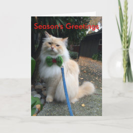 Tarjeta Festiva Los saludos de la estación