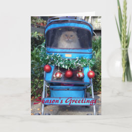 Tarjeta Festiva Los saludos de la estación