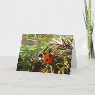 Tarjeta Festiva Los saludos de la estación