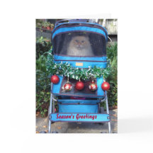 Los saludos de la estación