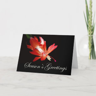Tarjeta Festiva Los saludos de la temporada de los Navidades rojos