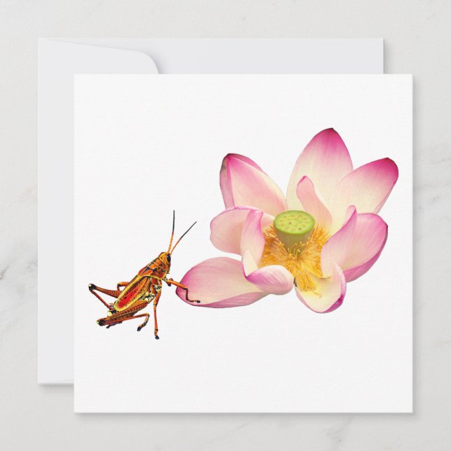 Tarjeta Festiva Lotus y Grasshopper (Anverso)