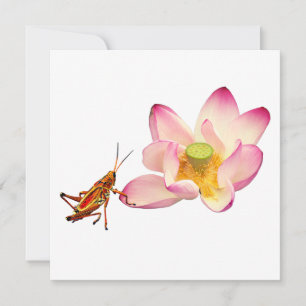 Tarjeta Festiva Lotus y Grasshopper