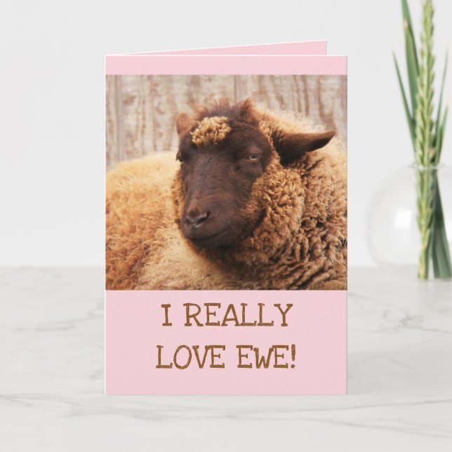 Tarjeta Festiva LOVE EWE Sheep El día de San Valentín (Anverso)