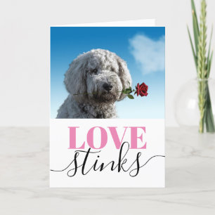 Tarjeta Festiva Love Stinks Funny Photo El día de San Valentín