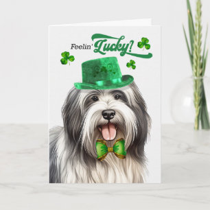 Tarjeta Festiva Lowchen perro se siente afortunado día de San Patr