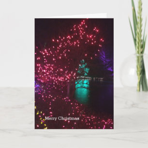 Tarjeta Festiva Luces brillantes en un jardín botánico