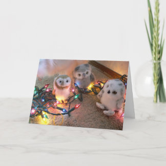 Tarjeta Festiva Luces de bonito