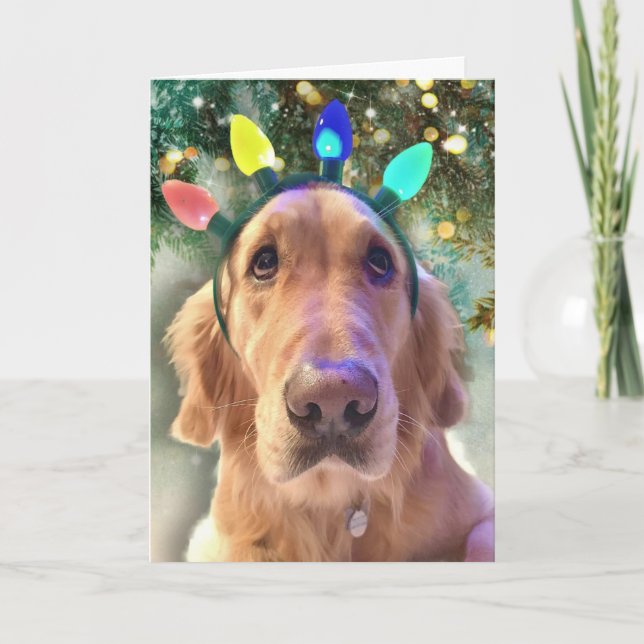 Tarjeta Festiva Luces de los Navidades de los Chicas Nova - Perro  (Anverso)