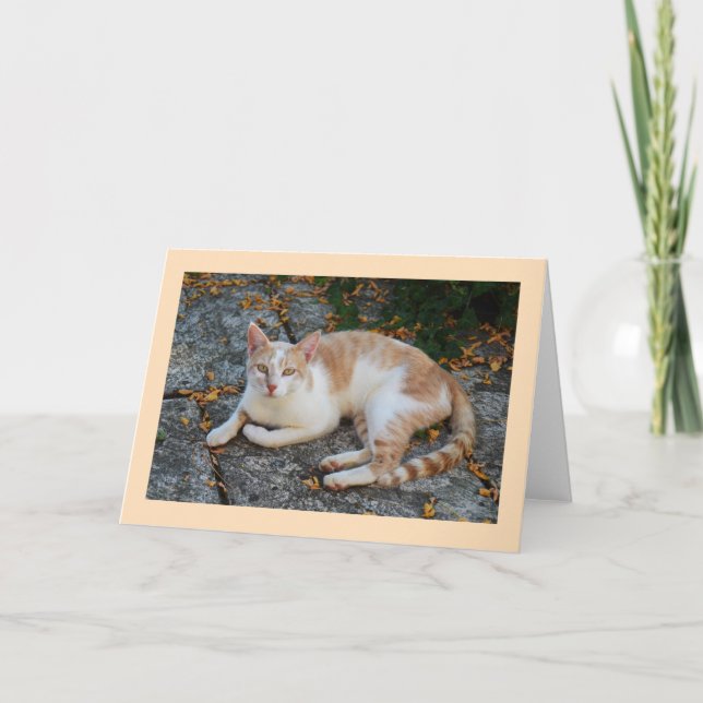 Tarjeta Festiva Lucky (Anverso)