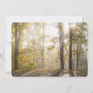 Tarjeta Festiva Luz dorada del sol a través de árboles otoñales