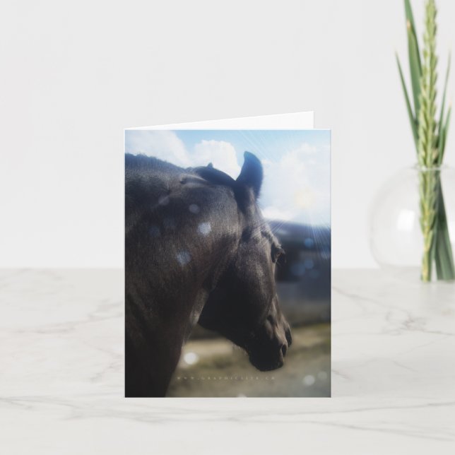 Tarjeta Festiva Luz solar - Notecard (Anverso)