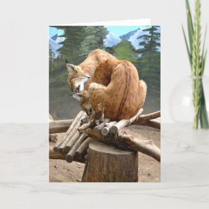 Tarjeta Festiva Lynx cats