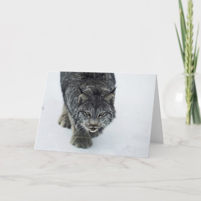 Tarjeta Festiva Lynx Winter (Anverso)