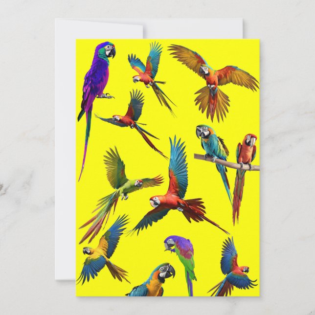 Tarjeta Festiva Macaws y más macaws (Anverso)
