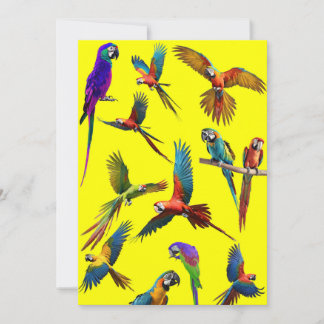 Tarjeta Festiva Macaws y más macaws