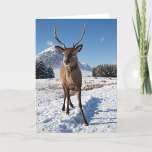 Tarjeta Festiva Macho y montañas