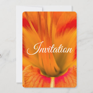 Tarjeta Festiva Macro de día de lirio naranja vibrante floral eleg