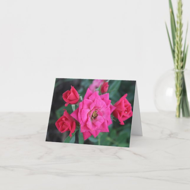 Tarjeta Festiva Macro Rosa Rosa para el Día de las Madres  (Anverso)