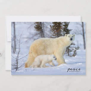 Tarjeta Festiva Madre de oso polar y cachorro en la tundra