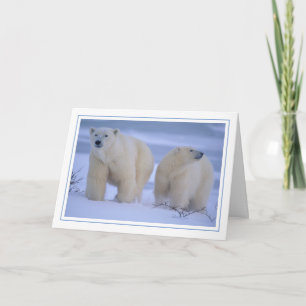 Tarjeta Festiva Madre del oso polar con cachorro de nieve
