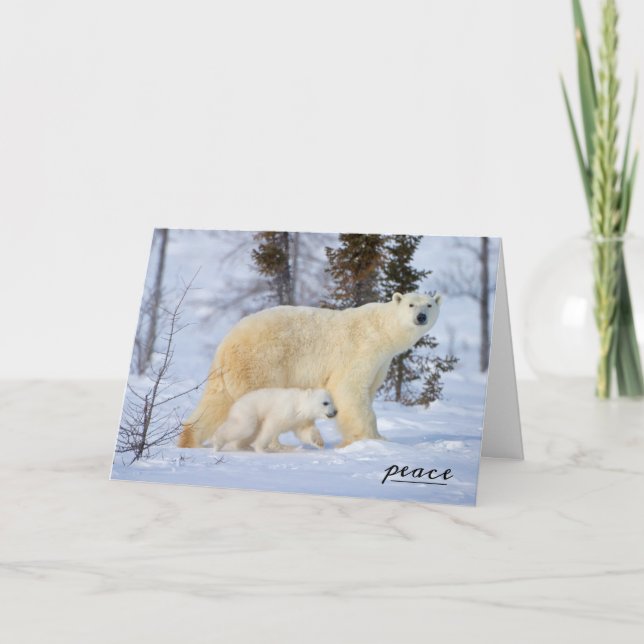 Tarjeta Festiva Madre del oso polar y cachorro en la tundra (Anverso)