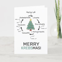 Maestra de Navidades de Ciclo de Ciencia Biología 