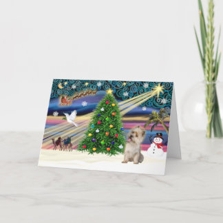 Tarjeta Festiva Magia de Navidad-Cairn wheaten
