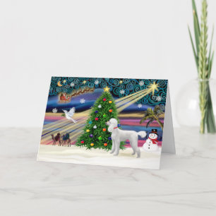 Tarjeta Festiva Magia de Navidad-Caniche-Est- Blanco