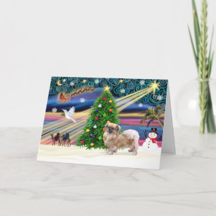 Tarjeta Festiva Magia de Navidad-Tibetan Spaniel