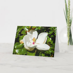 Tarjeta Festiva Magnolia grandiflora