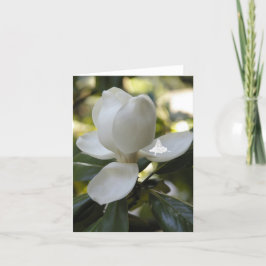 Tarjeta Festiva Magnolia Shadow Fairy